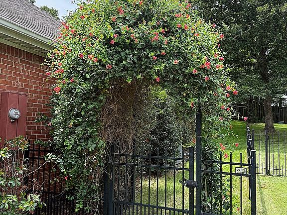 3rd image of 3917 Towering Oaks Dr