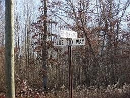 2nd image of 20705 Blue Fox Way #35