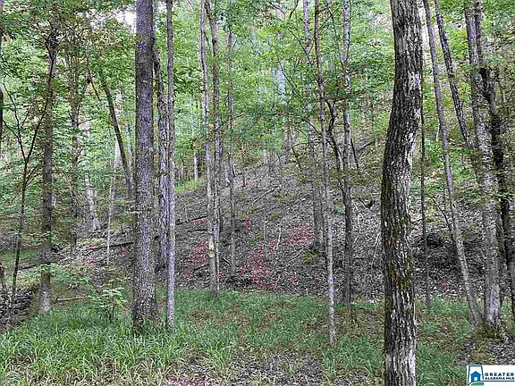 5th image of 0 County Road 59 Lot 74