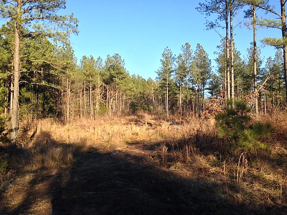 2nd image of 2070 Stemcreek Trl