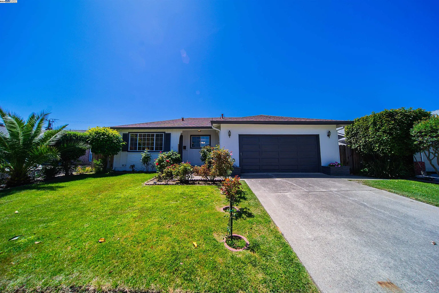 38811 Bonnie Way photo 1