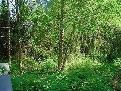 2nd image of 7006 86th Ct NW