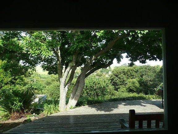 4th image of 181 N Balsamina Way