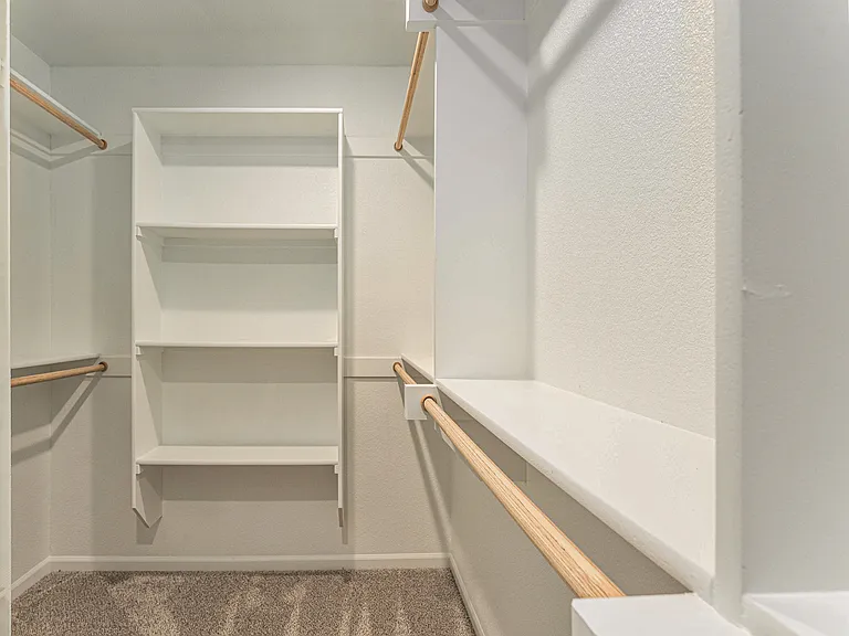 Primary bedroom's walk-in closet