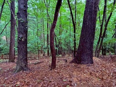 0 Woodland Dr, Elkin, NC, 28621