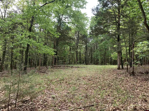 001-00241-000 Mc #6064, Flippin, AR 72634