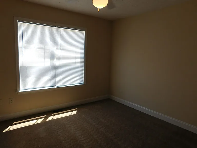 4204 Arbor Green Way — Photo 18