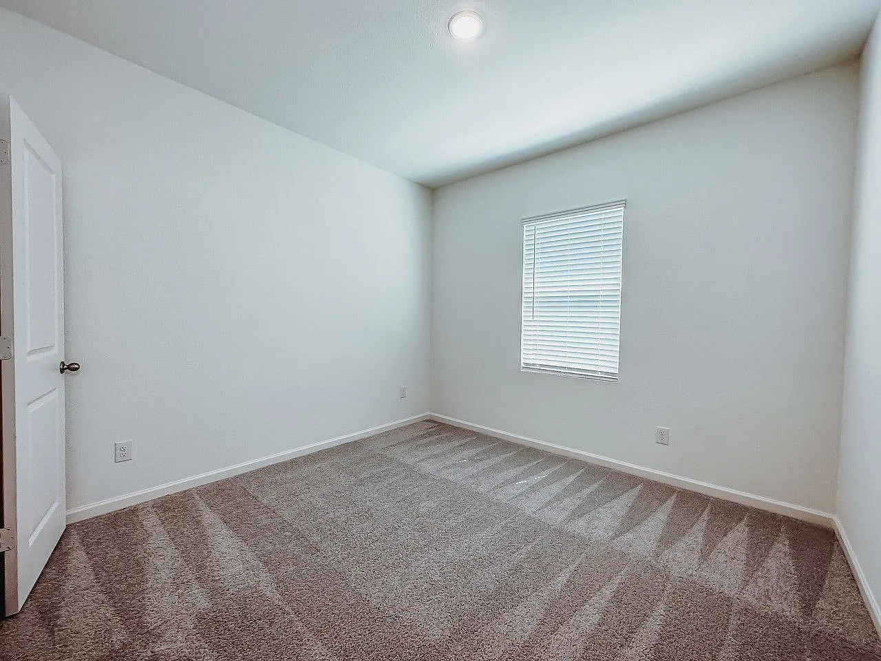 1637 Whitworth Dr — Photo 4