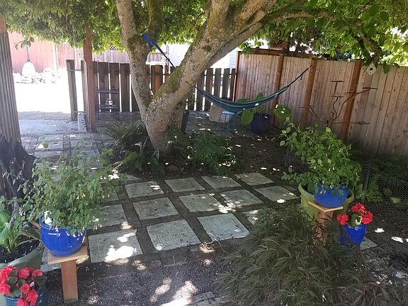Lots of shade under the Magnolia to hang out and enjoy the hammock.