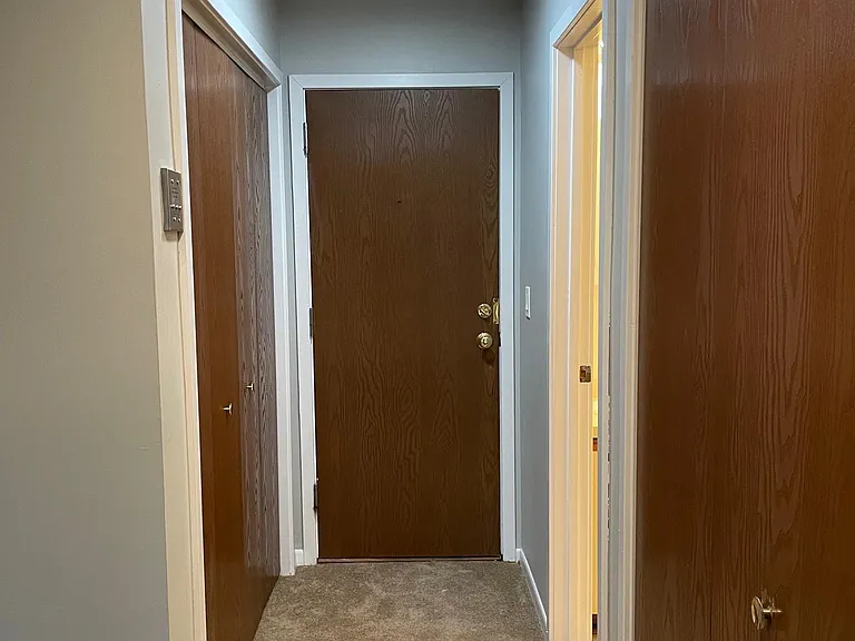 Unit Entry Hallway Closet to left, Bathroom to right, Closest Closet is Laundry Area New Carpeting, New Paint and New LED Lighting