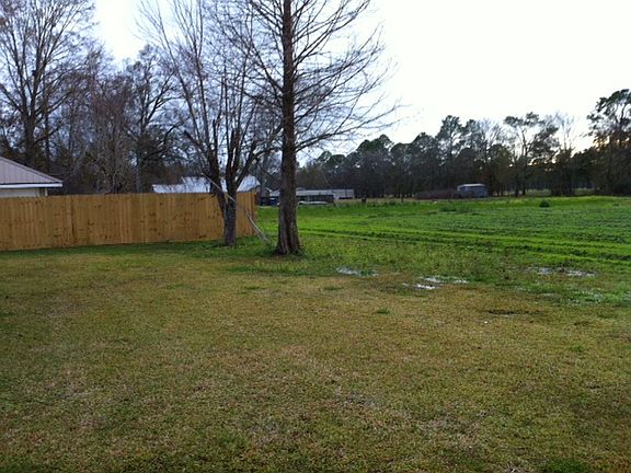 Back yard, sides are fenced
