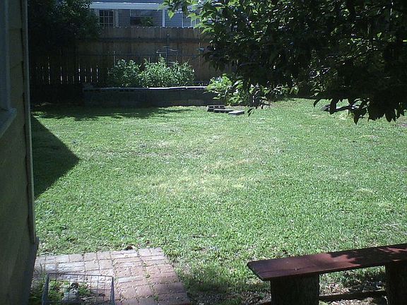 Back yard