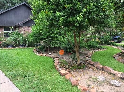 Fruit trees & berries, tomato & pepper planters along side of home
