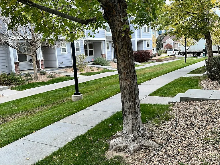19069 E 58th Ave — Photo 13