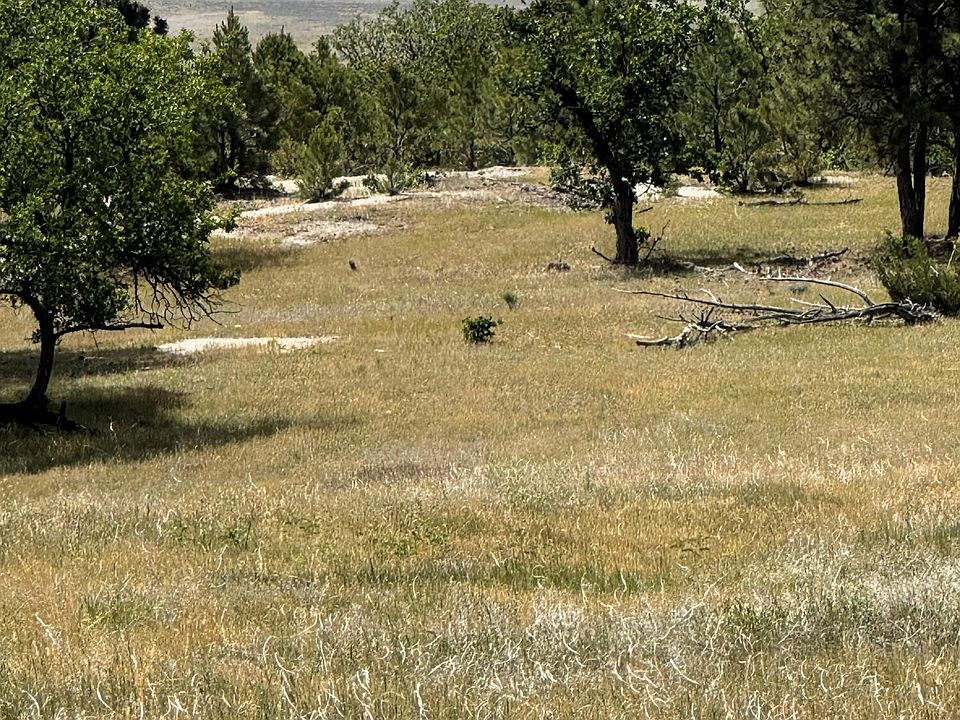1st image of TRACT One Triple R Bay