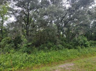 10205 E Deep Creek Blvd, Hastings, FL 32145