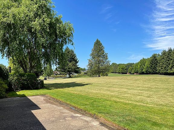 View from back patio