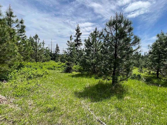 4th image of Elderberry Dr Parcel 10