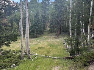 Calkins St, Del Norte, CO 81132