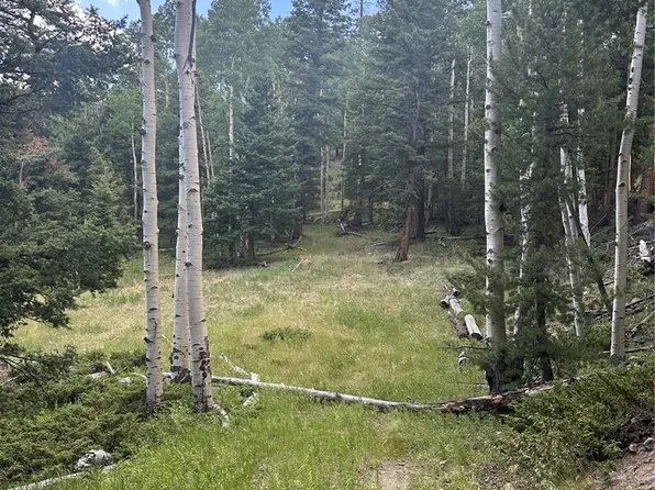 Calkins Street, Jasper, CO 81132