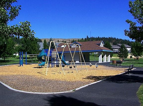 Pacific Park out back