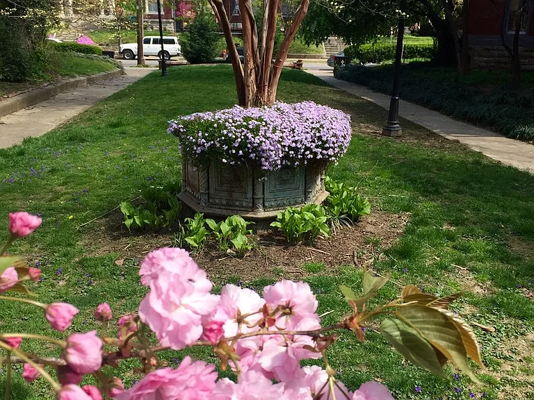 406 Fountain Court — Photo 19
