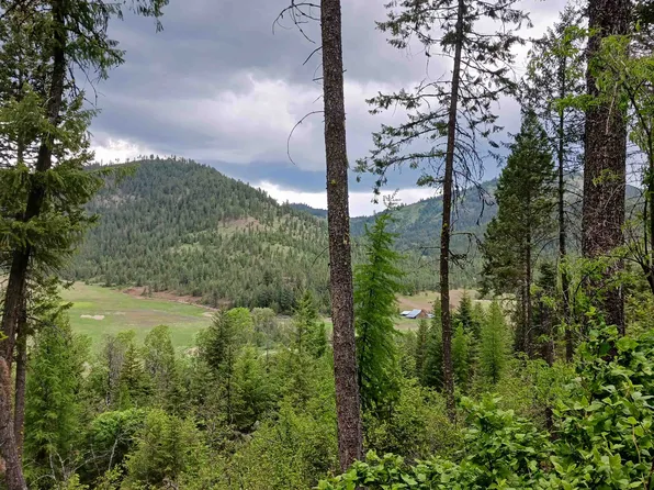 40XX Daisy Mine Rd, Gifford, WA 99131