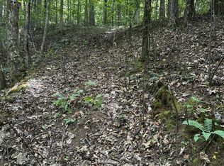 3 Brendle Rd, Franklin, NC 28734