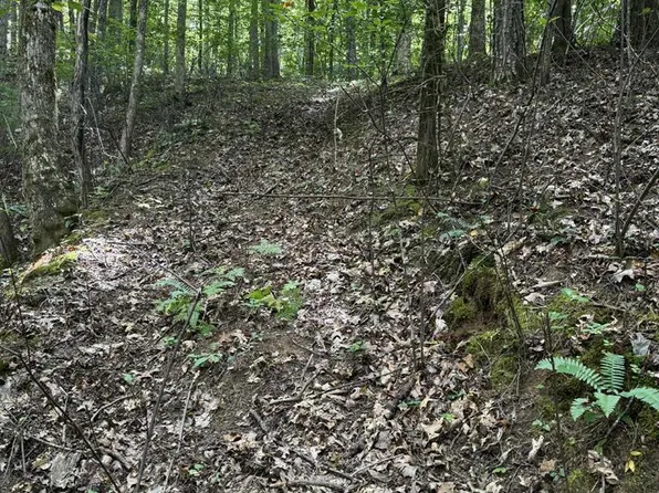 5 Brendle Rd, Franklin, NC 28734