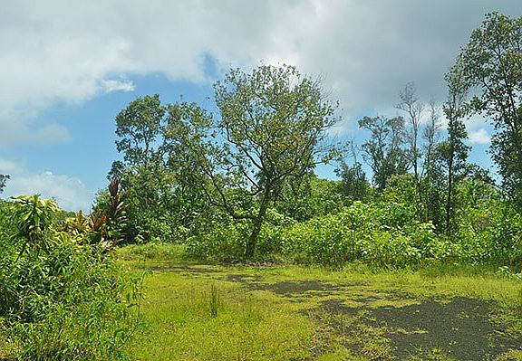 4th image of 12-1201 Kaimu Makena Homestead Rd #D-30