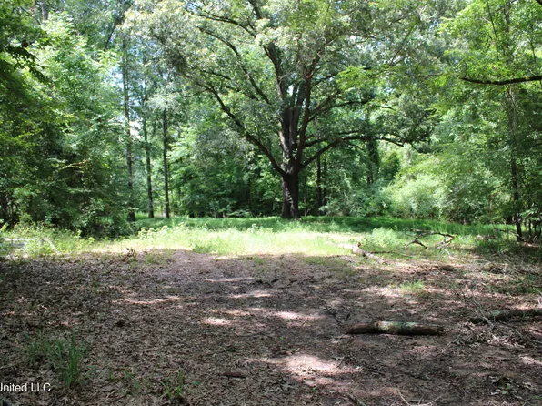 4003 Perry Creek Rd, Bentonia, MS 39040