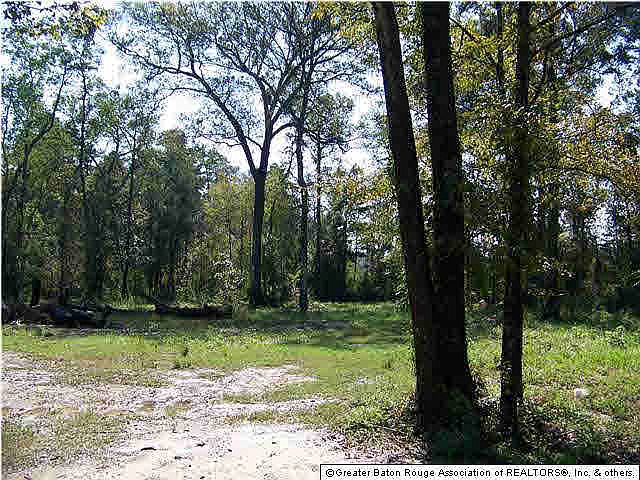 1st image of Longwood Dr