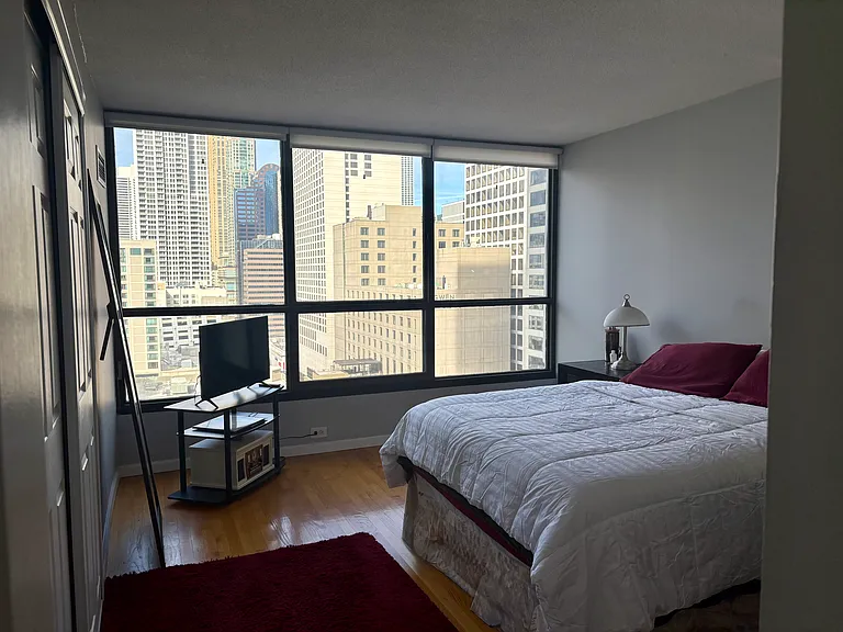 405 N Wabash Ave #1501 — Photo 9