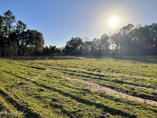 LOT 1 Marshall Smith Rd Lot 1, Lucedale, MS 39452