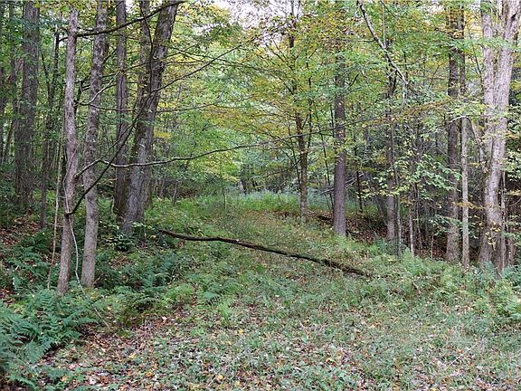 2nd image of Lawrence Rd
