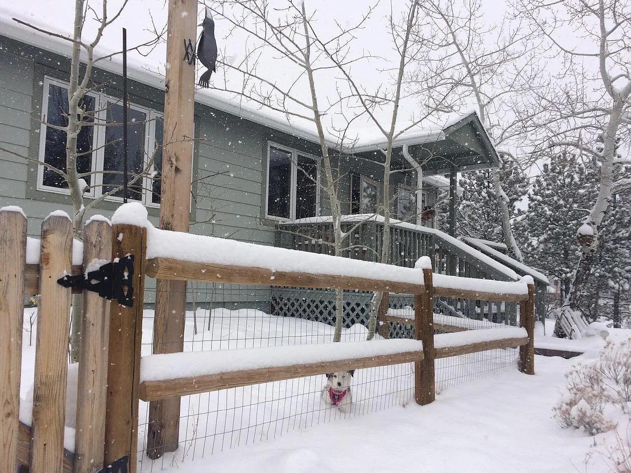 1351 Riverside Ln — Photo 3