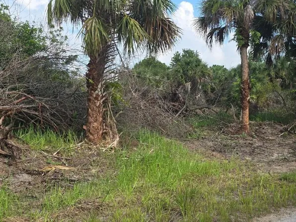 711 Dirckson St SW, Palm Bay, FL 32908