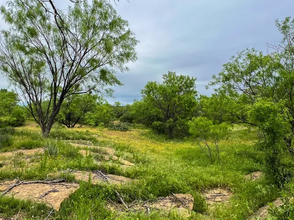 1570 County Road 383, Woodson, TX 76491