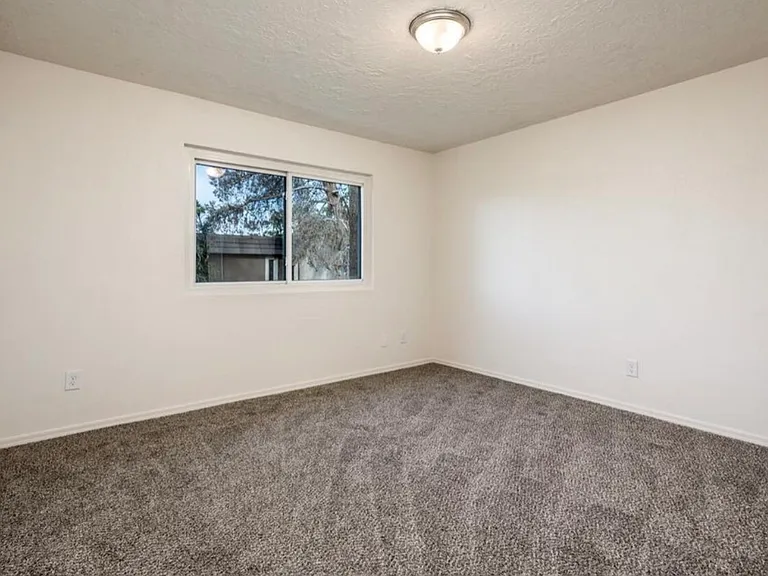 7126 N 19th Ave — Photo 5