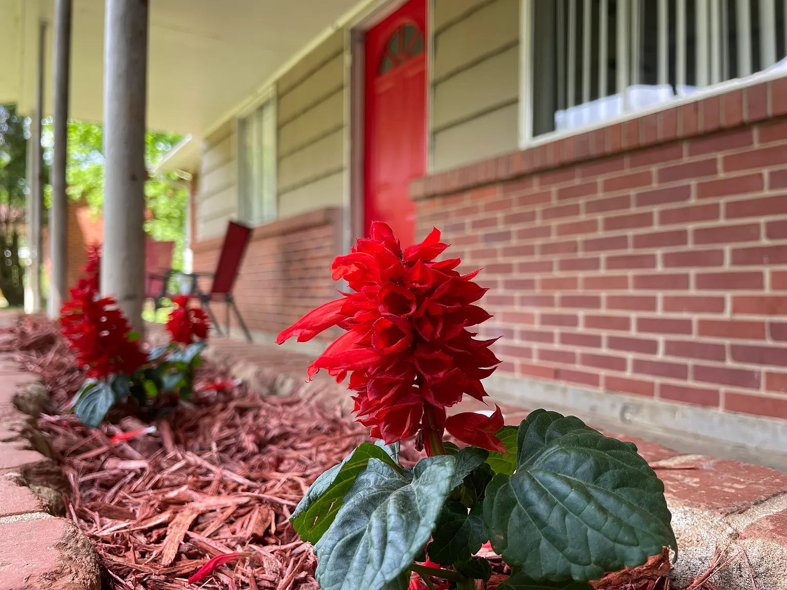 3 bed, 1200 sqft, $2,000 — Photo 3