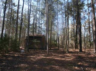 1001 Rock N Creek Rd, Leesville, SC 29070