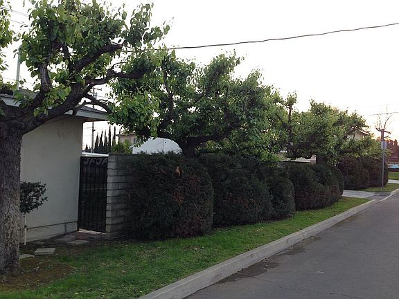 4th image of 6421 Trelawney Ave