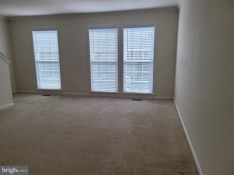 25117 Sweet Myrtle Sq — Photo 24