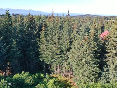 401 Cozy Cove Dr, Homer, AK, 99603