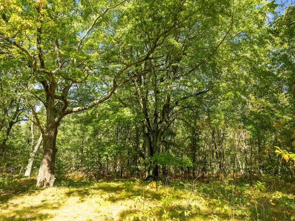 00-V/L E Crystal Lake Rd, Holton, MI 49425