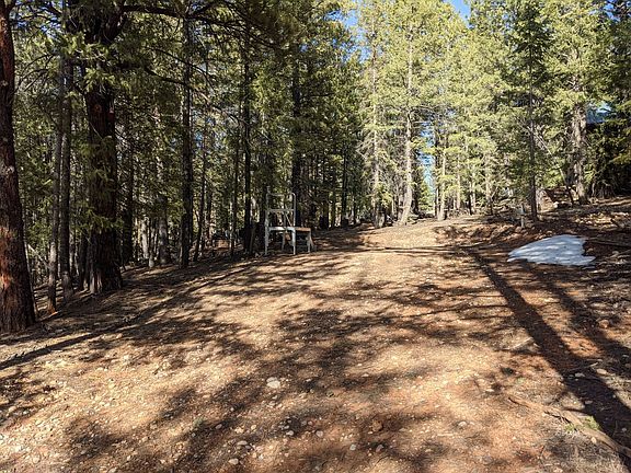 4th image of 1290 N Ponderosa Dr