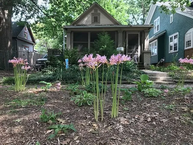 504 E Elm St