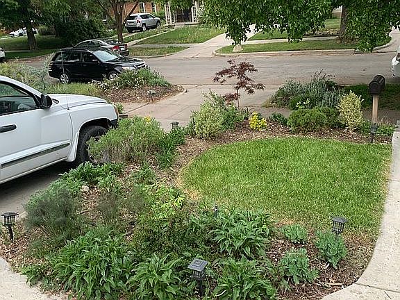 Front Yard