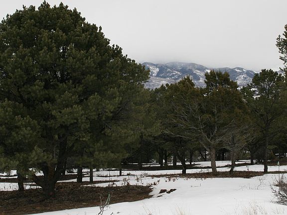5th image of Tbd Pine Dr