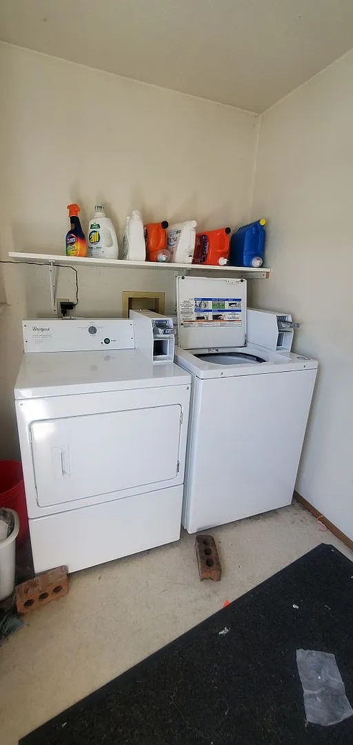 1, 2 & 3 Bedroom Apartments Near WWU + Downtown — Photo 4